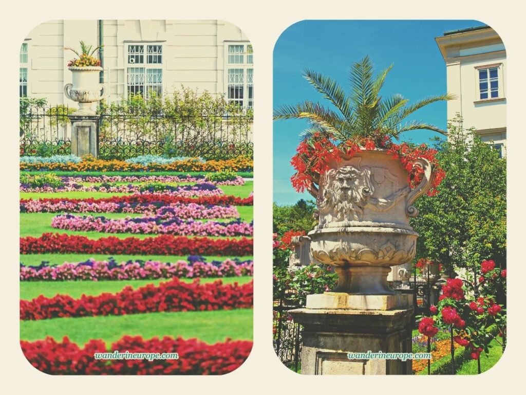 5 Beautiful Reasons to Visit Mirabell Palace & Gardens 7 Colorful flowers in Mirabell Garden in Salzburg, Austria
