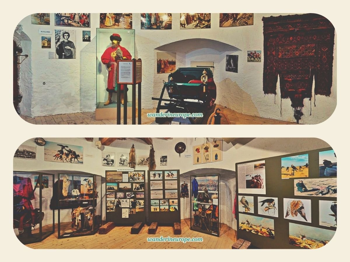 Visiting Hohenwerfen Fortress Guide, Expectations, and Tips 45 First floor of Regional Falconry Center, Hohenwerfen Fortress, Werfen, Salzburg, Austria