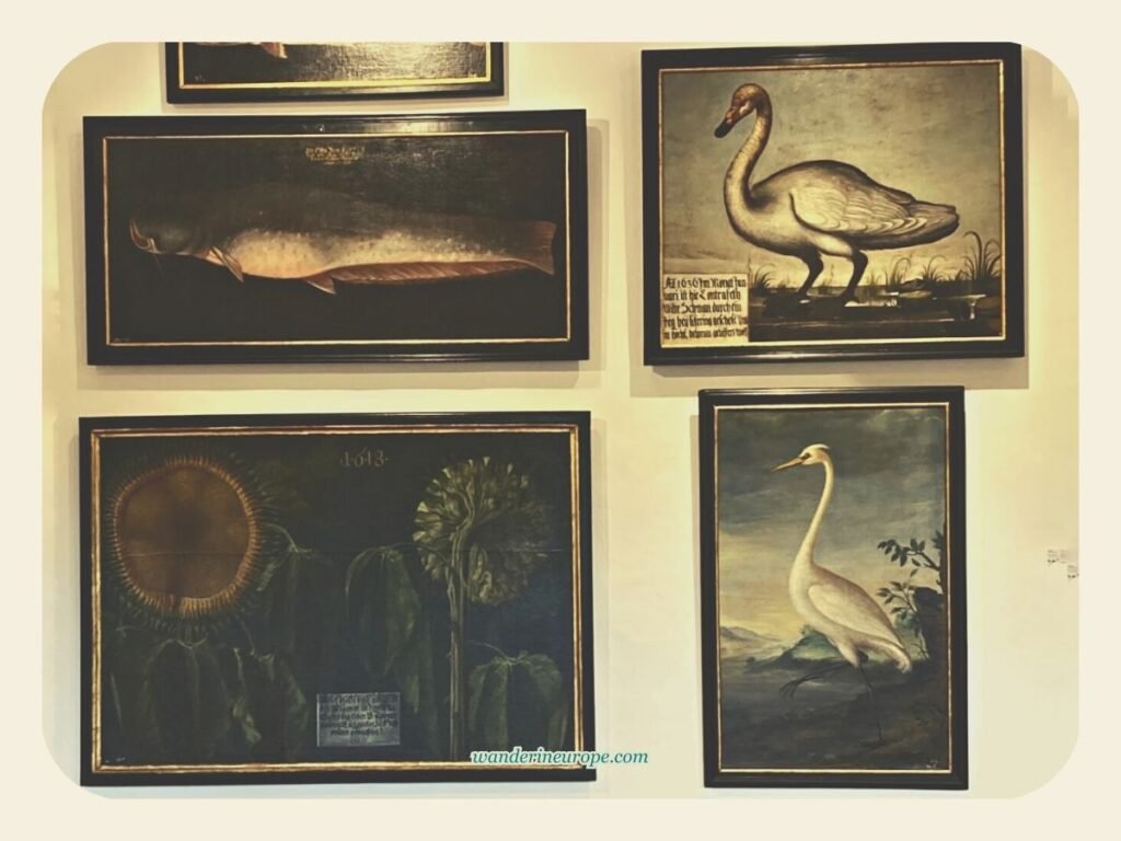 Everything You Need to Know About Visiting Hellbrunn Palace 71 The sunflower and other animals paintings in Hellbrunn Palace, Salzburg, Austria