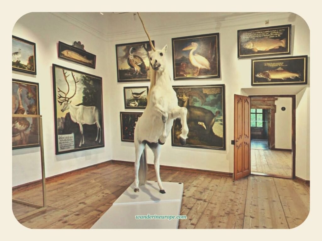 Everything You Need to Know About Visiting Hellbrunn Palace 70 The unicorn inside the Princely Nature Exhibits of Hellbrunn Palace, Salzburg, Austria