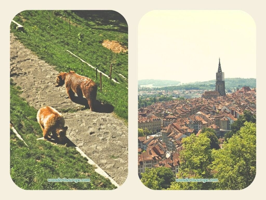 Two Days in Bern Itinerary: Old City, Gurten, & Museums 12 Bear Park (left), View from Rose Garden (right), tourist attractions for 2-day trip to Bern, Switzerland