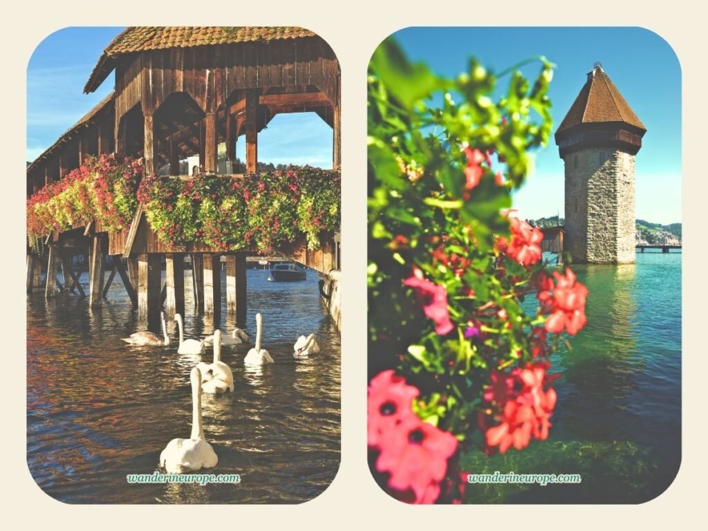 4 Days in Central Switzerland (Bern and Lucerne Itinerary) 38 Beautiful flower-embellished appearance of the Chapel Bridge during summer in Lucerne, Switzerland