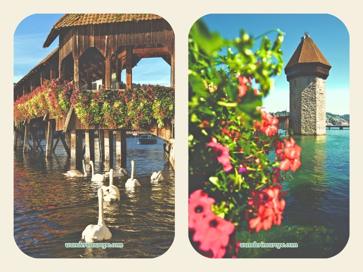 Beautiful flower-embellished appearance of the Chapel Bridge during summer in Lucerne, Switzerland