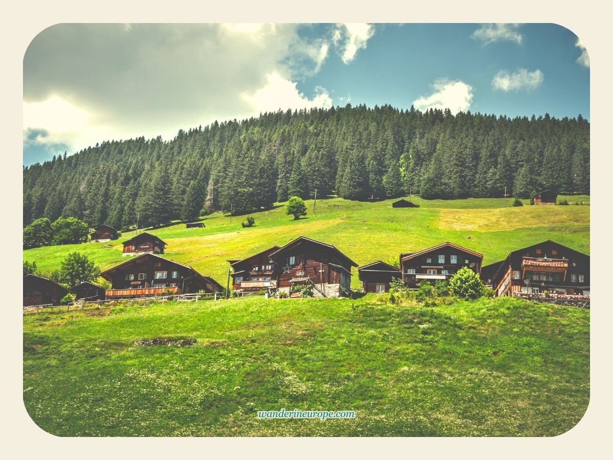 5 Things To Do In Gimmelwald (Beautiful Reasons To Visit) 5 Chalets dotting the eye-pleasing meadows in Gimmelwald, Switzerland