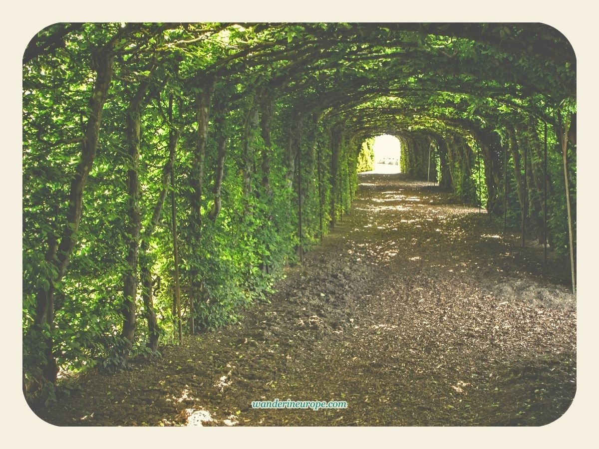 Green tunnel inside Oberhofen Castle’s Park in Thun, Switzerland