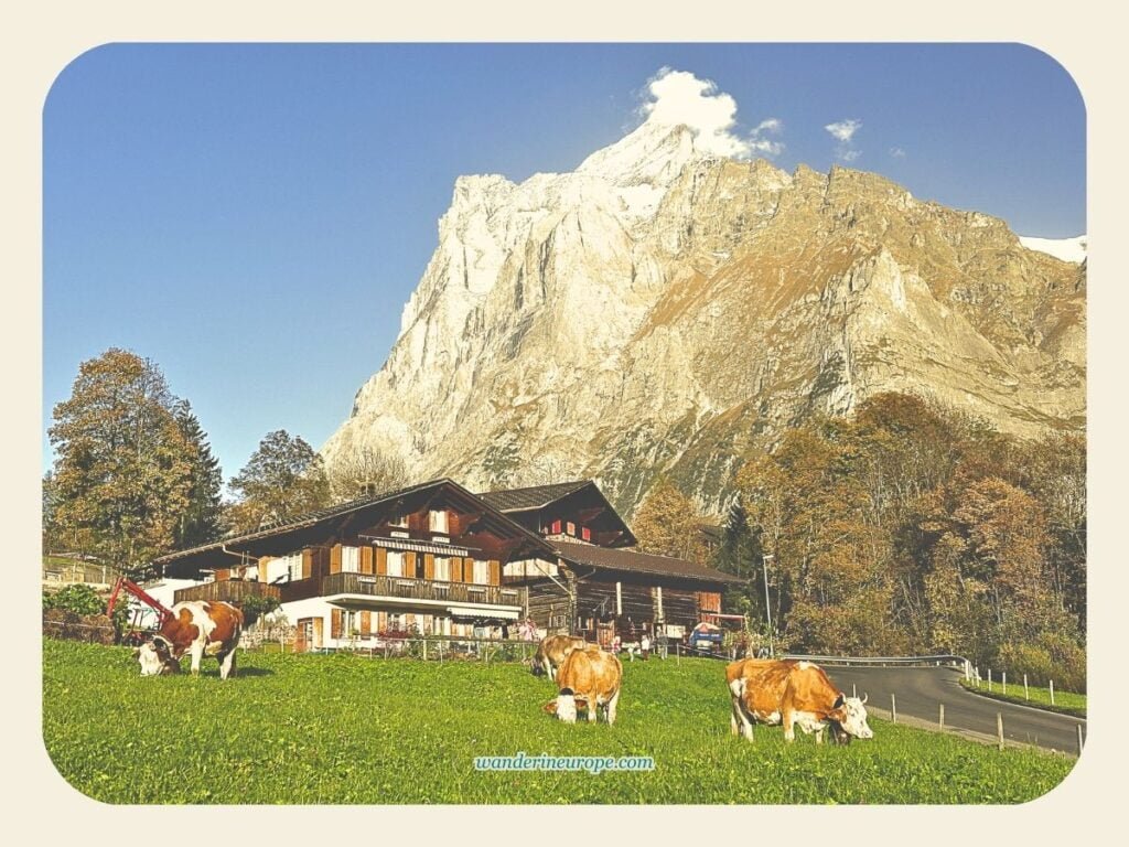 10 Unmissable Things To Do In Interlaken Jungfrau Region 36 Grindelwald, Jungfrau Region, Switzerland