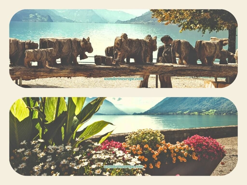 7 Things to Do in Lake Brienz with Tips and Visiting Info 20 Lakeside promenade in Brienz with a view of Lake Brienz, Jungfrau Region, Switzerland