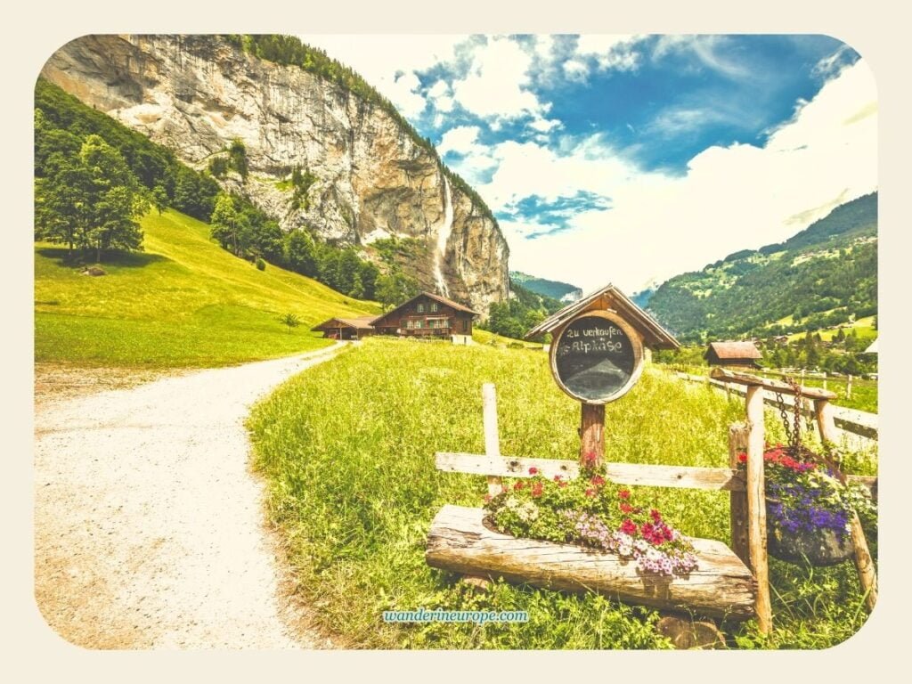 7 Lauterbrunnen Viewpoints & Photo Spots (With a Map) 37 The beautiful meadows during summer in Lauterbrunnen-Stechelberg hiking trail, Lauterbrunnen, Switzerlan