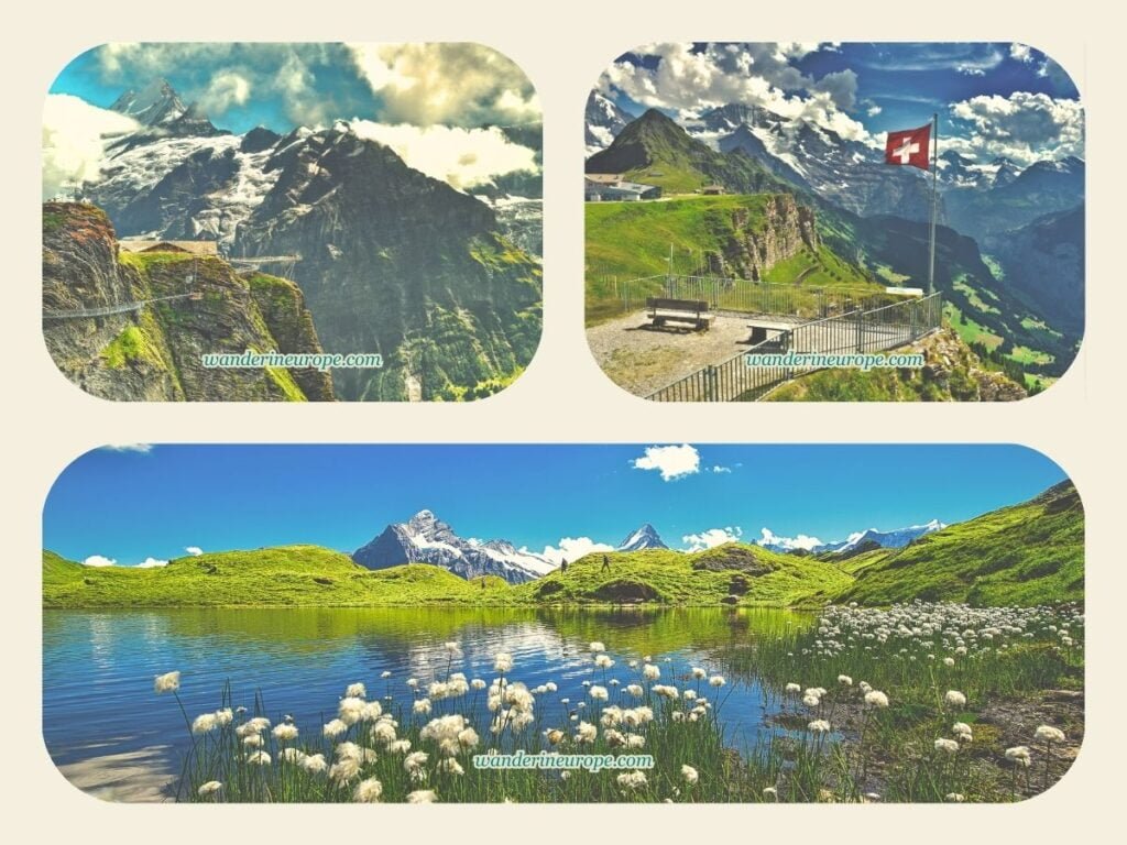 6-Day Switzerland Itinerary: Exploring The Canton of Bern 59 View from Bachalpsee, Grindelwald-First, and Mannlichen, Day 5 Switzerland Itinerary