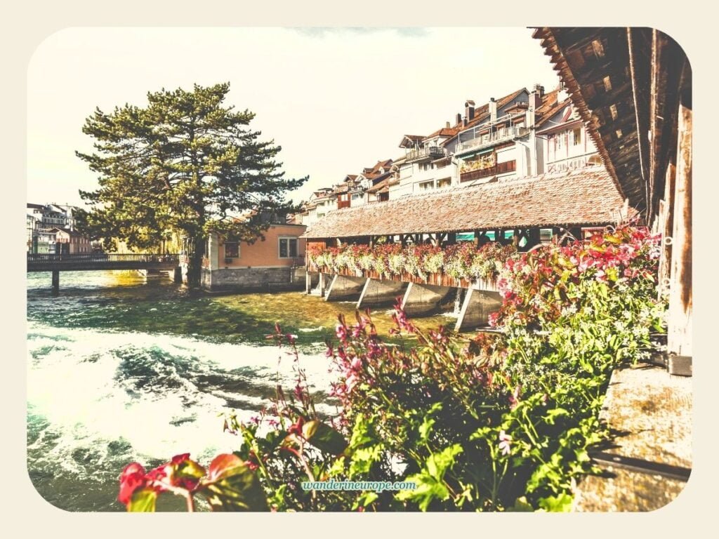 How to Spend One Day in Thun (an Easy Day Trip Itinerary) 20 View from Untere Schleuse Brücke near Waisenhausplatz in Thun, Switzerland