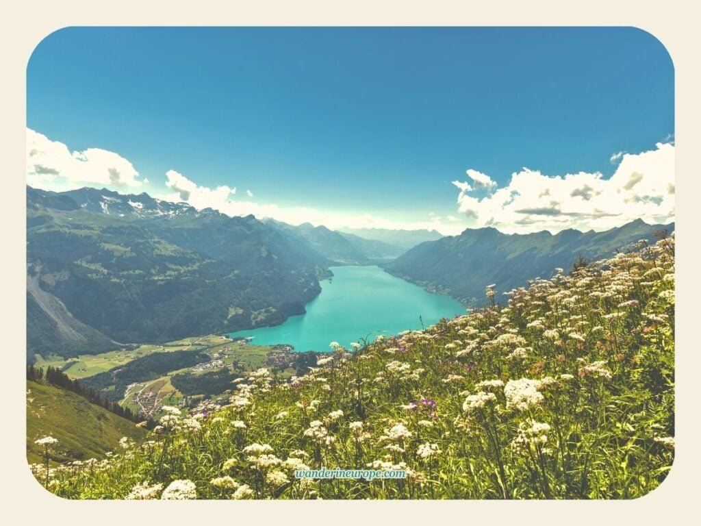7 Things to Do in Lake Brienz with Tips and Visiting Info 32 View of Lake Brienz from Rothorn, Jungfrau Region, Switzerland