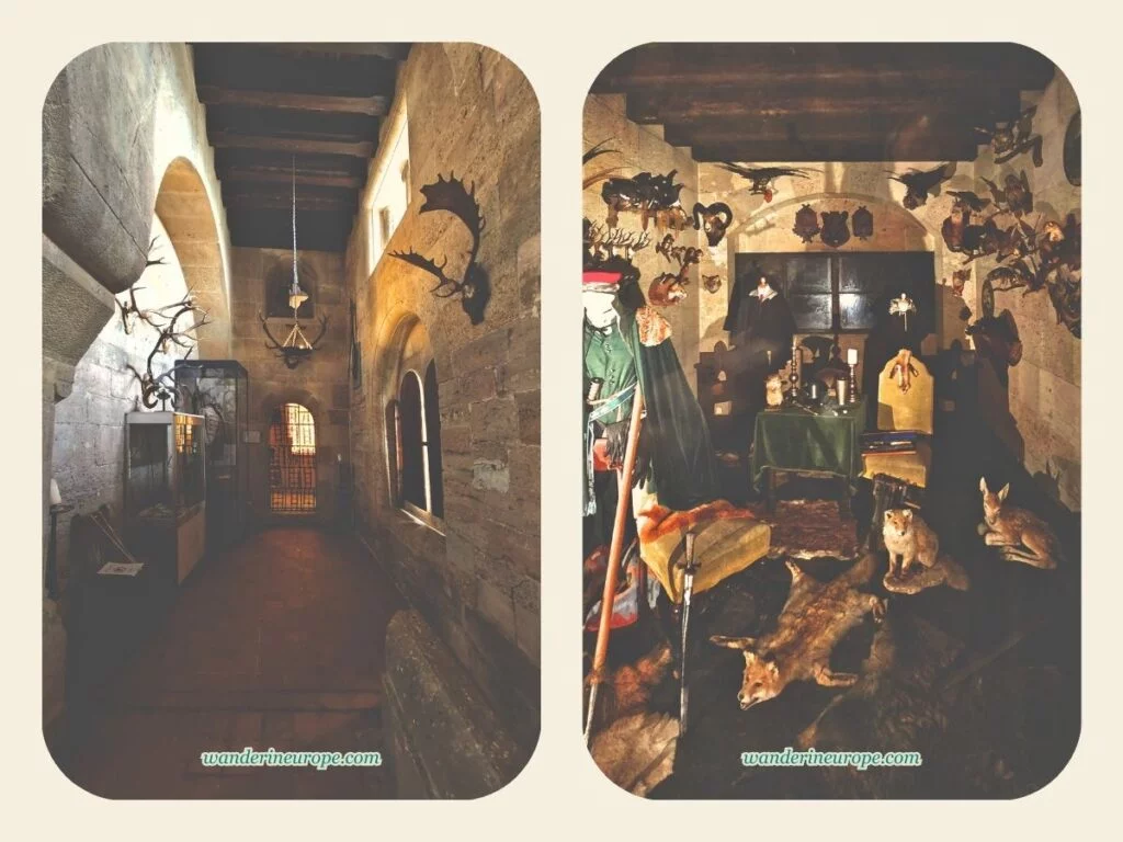 Hallway and Hunting Room exhibits of Liechtenstein Castle, Vienna, Austria