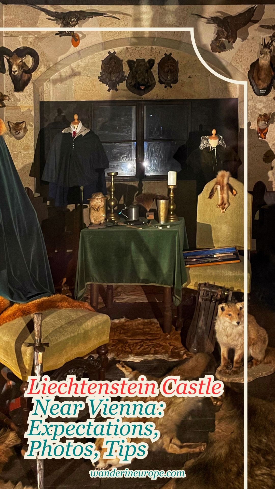 Liechtenstein Castle Near Vienna: Expectations, Photos, Tips 47 Liechtenstein Castle Near Vienna_ Expectations, Photos, Tips, Pinterest Pin