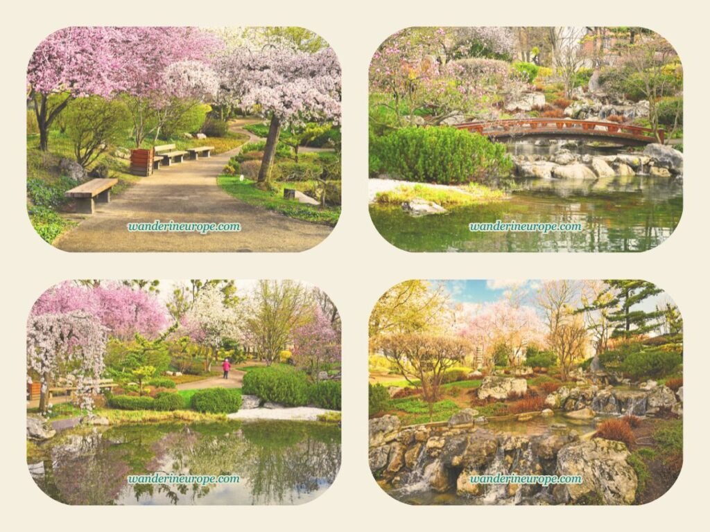 20 Beautiful Places in Vienna You Can Visit for FREE 27 Spring time in Setagaya Park, a beautiful place free to visit in Vienna, Austria