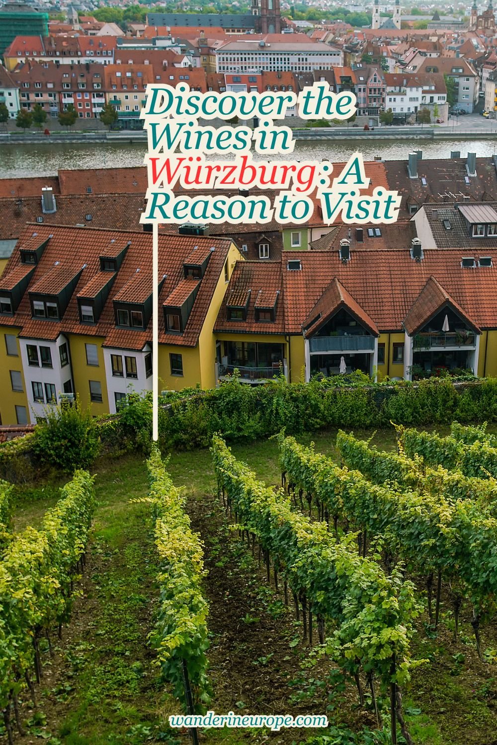 Discover the Wines in Würzburg: A Reason to Visit 8 Discover the Wines in Würzburg_ A Reason to Visit, Pinterest Pin