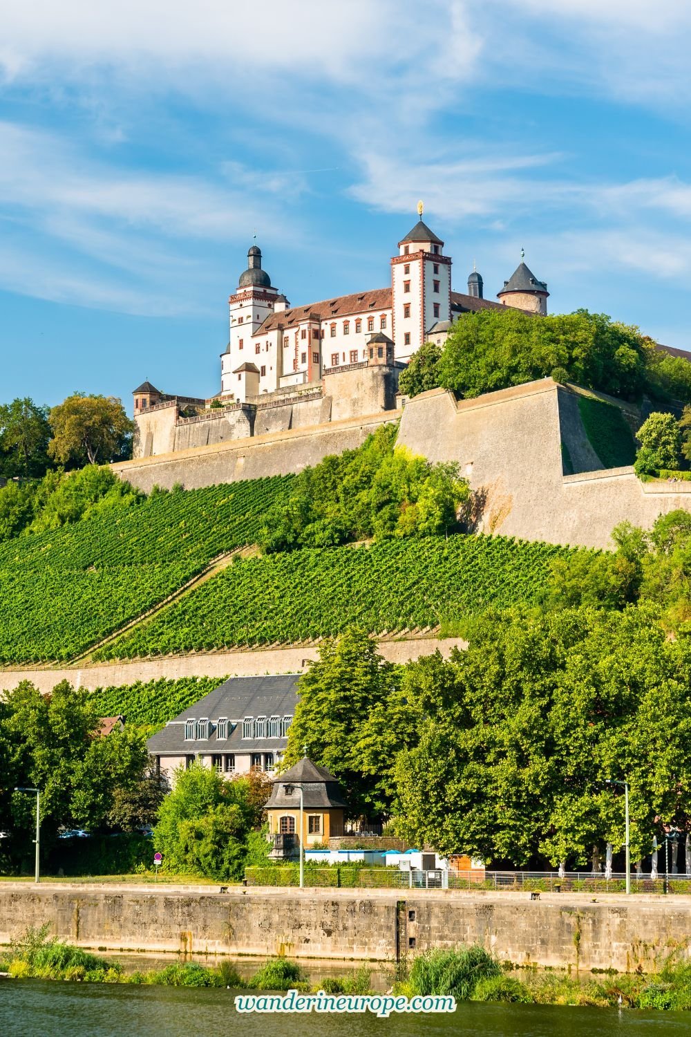 Discover the Wines in Würzburg: A Reason to Visit 11 Discover the Wines in Würzburg_ A Reason to Visit, Pinterest Pin