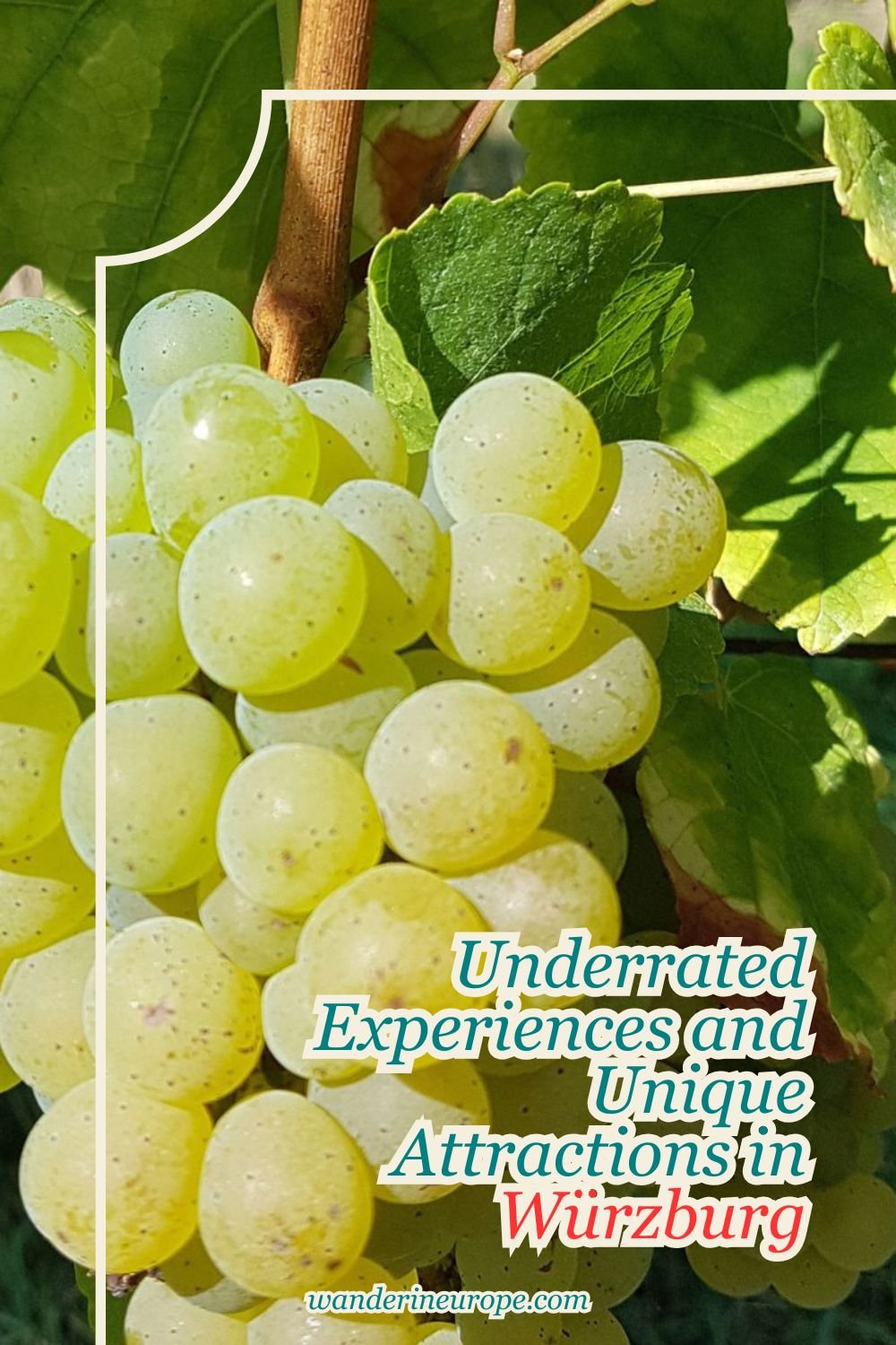 Underrated Experiences and Unique Attractions in Würzburg 15 Underrated Experiences and Unique Attractions in Würzburg, Pinterest Pin