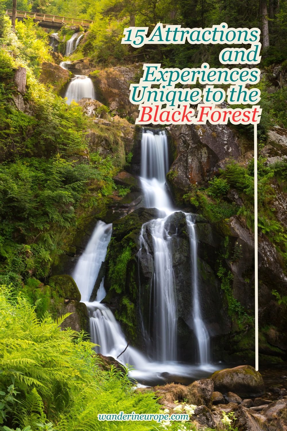 15 Attractions and Experiences Unique to the Black Forest 51 15 Attractions and Experiences Unique to the Black Forest, Pinterest Pin