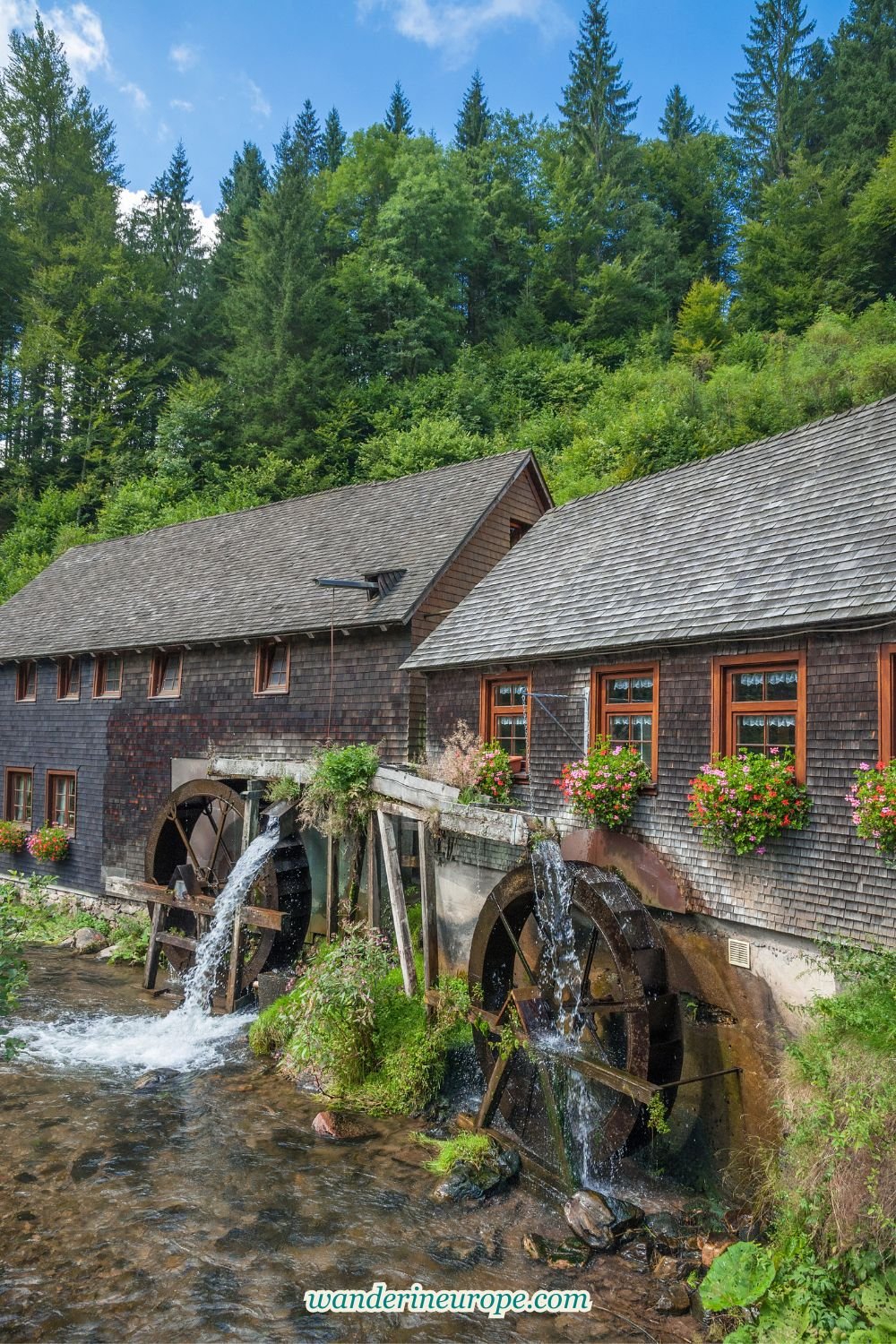 15 Attractions and Experiences Unique to the Black Forest 52 15 Attractions and Experiences Unique to the Black Forest, Pinterest Pin