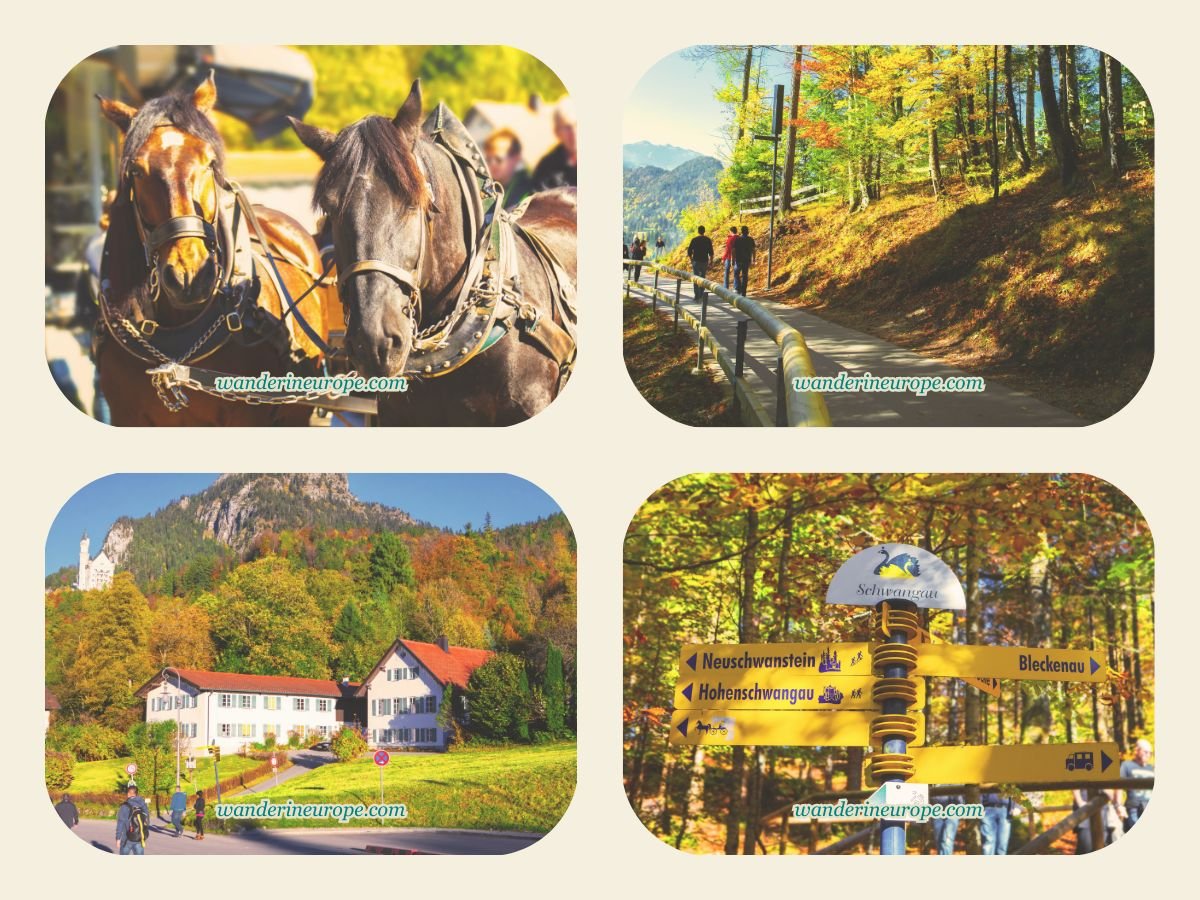 10 Stunning Bucket List Destinations in Southern Germany 50 Different scenes along the way from the ticketing center to Neuschwanstein Castle, Schwangau, Germany