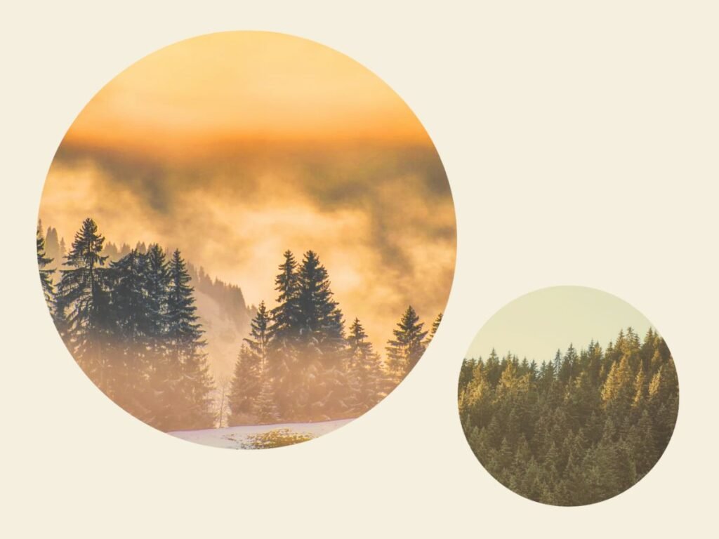 What Makes the Black Forest a Unique Destination in Germany 3 Dramatic photos of the Black Forest, Germany