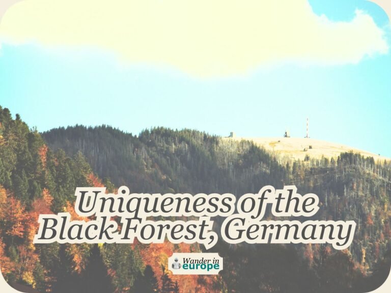 What Makes the Black Forest a Unique Destination in Germany