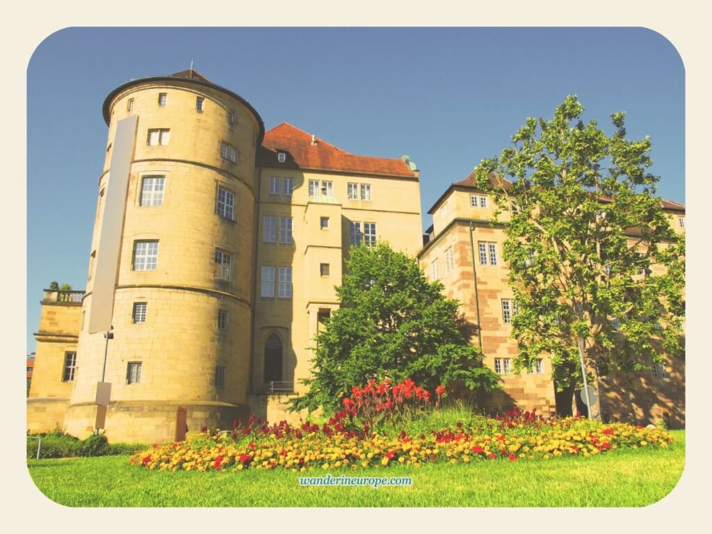 Exploring the Top Attractions at Schlossplatz, Stuttgart 12 Flowers from the garden of Altes Schloss, Stuttgart, Germany