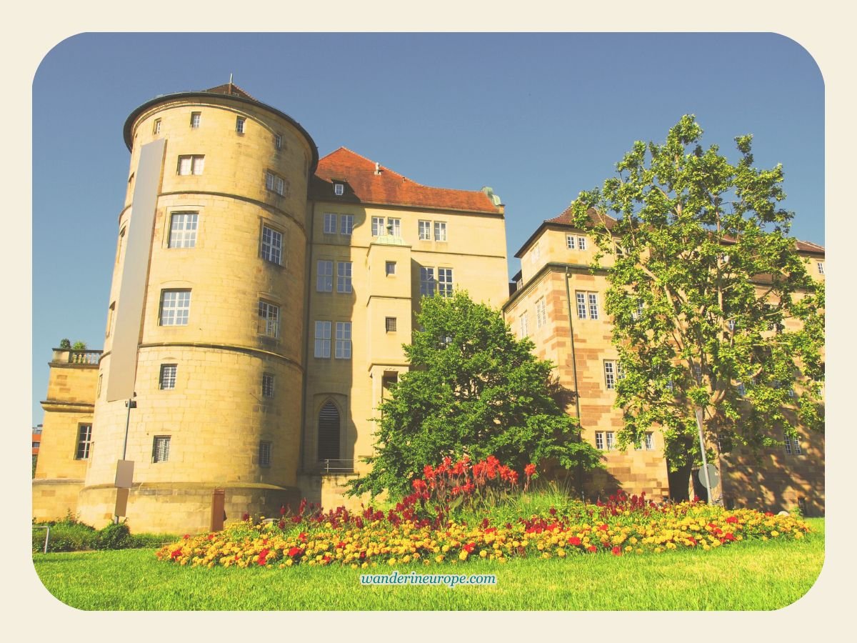 Baden-Württemberg 39 Flowers from the garden of Altes Schloss, Stuttgart, Germany