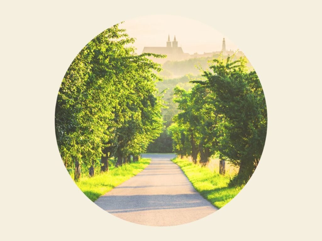 Discover Rothenburg ob der Tauber: A Quick Exploration Guide 1 Scenes on a road trip around Rothenburg ob der Tauber, Germany