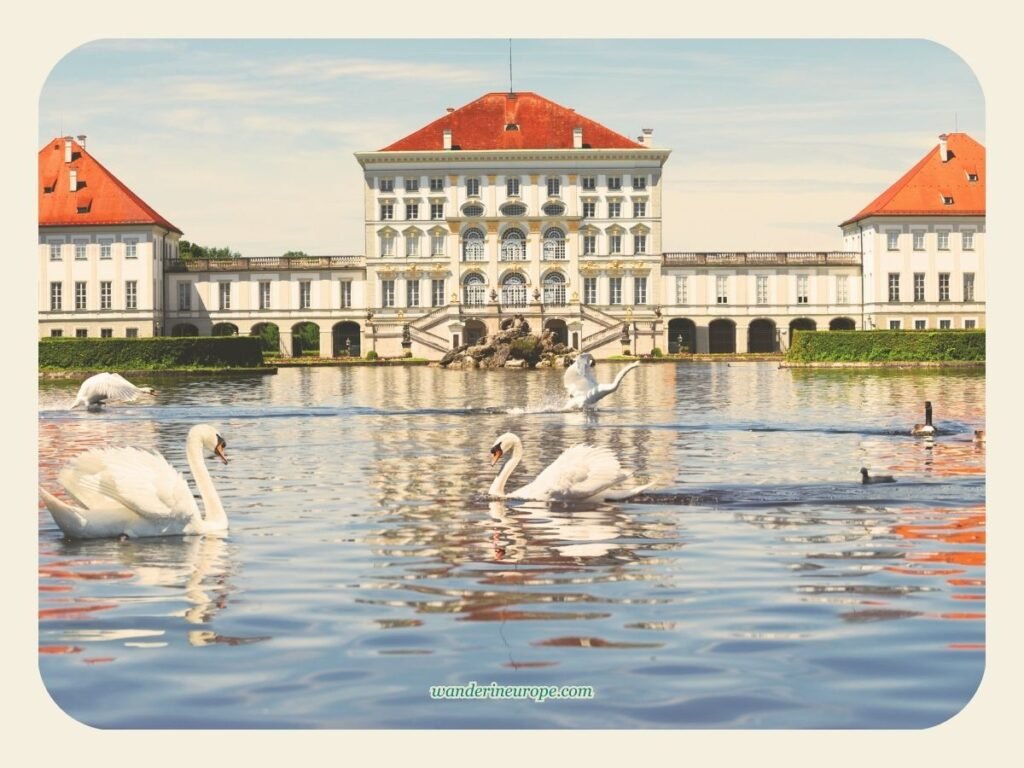 10 Beautiful Places in Munich for First-Timers and Explorers 80 Swans in the pond in front of Nymphenburg Palace, Munich, Germany