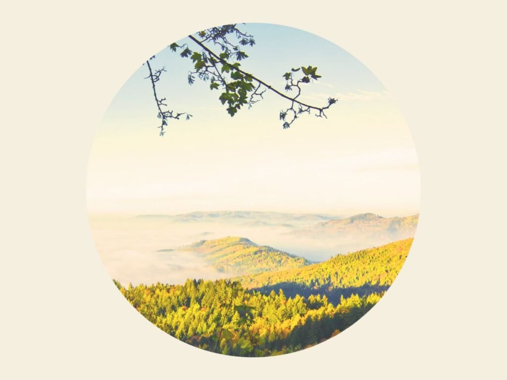 What Makes the Black Forest a Unique Destination in Germany 4 The breathtaking view of the Black Forest, Germany