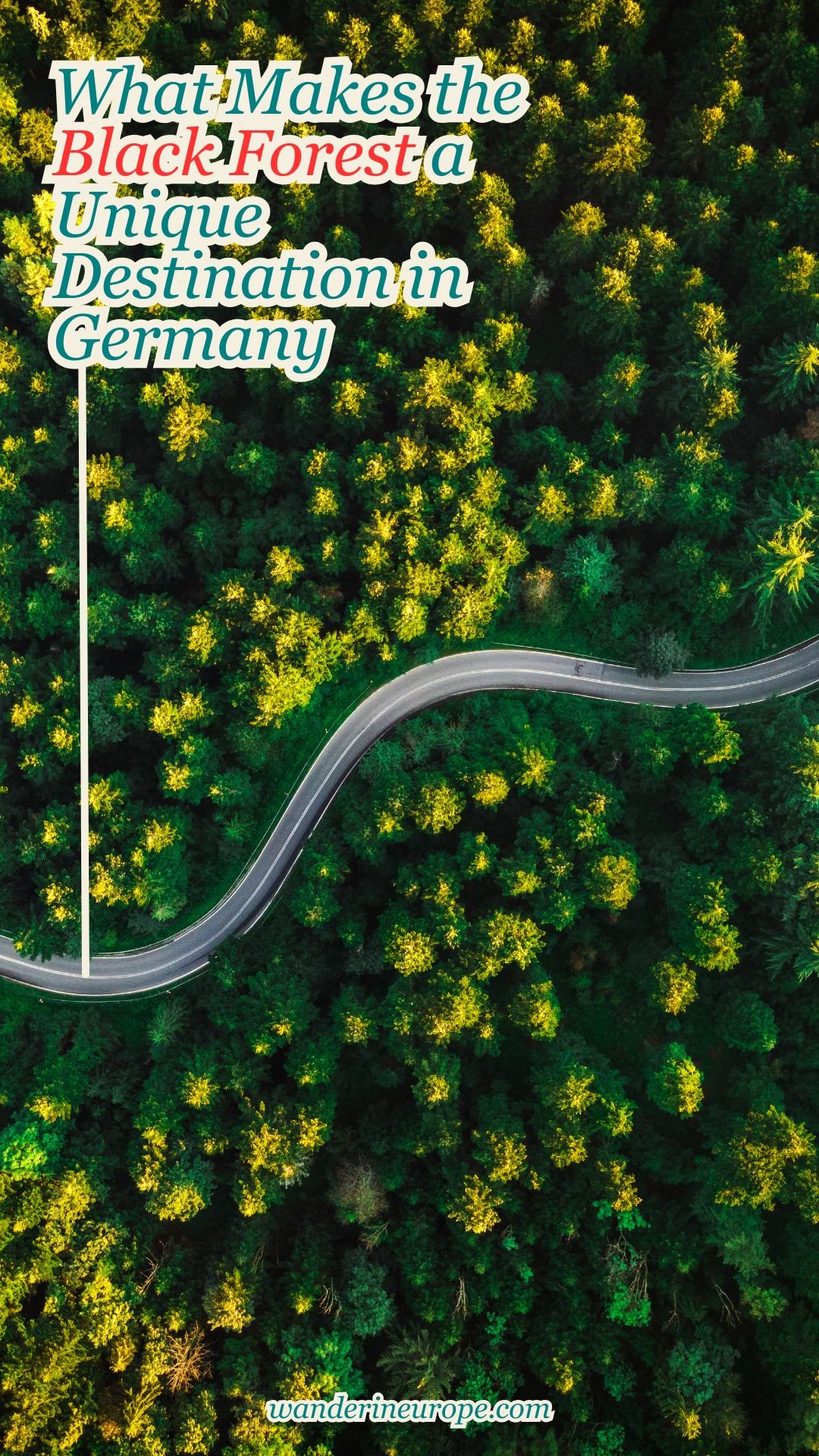 What Makes the Black Forest a Unique Destination in Germany 14 What Makes the Black Forest a Unique Destination in Germany, Pinterest Pin