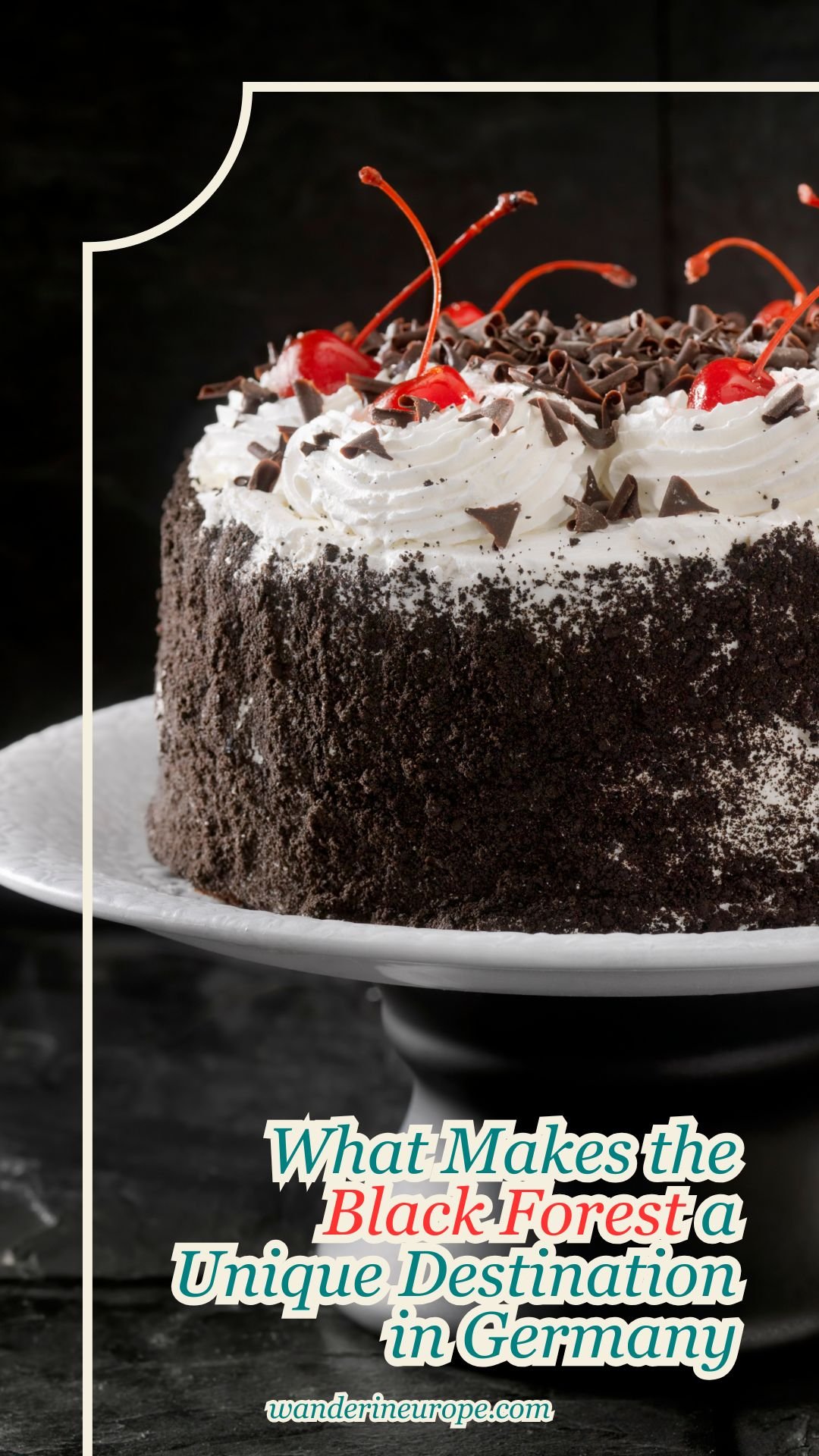 What Makes the Black Forest a Unique Destination in Germany 15 What Makes the Black Forest a Unique Destination in Germany, Pinterest Pin