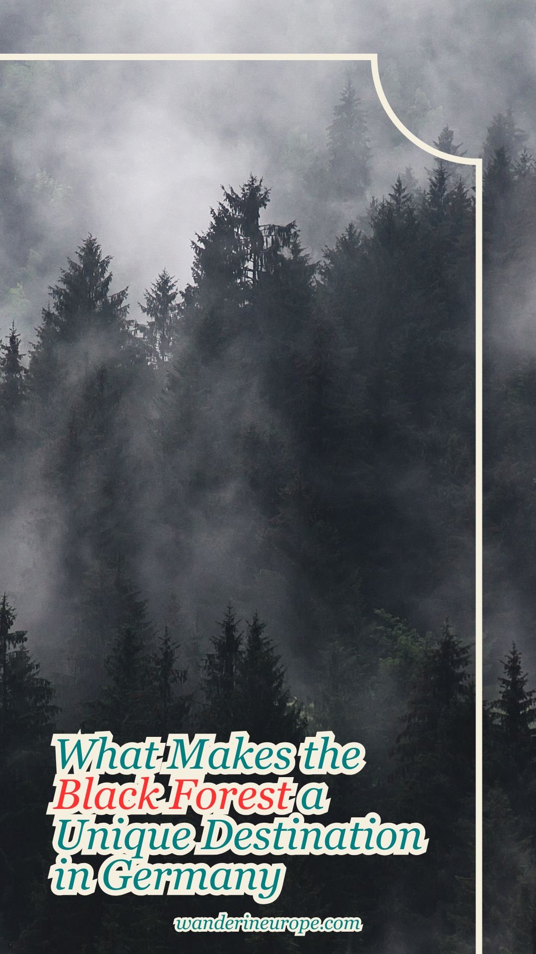 What Makes the Black Forest a Unique Destination in Germany 16 What Makes the Black Forest a Unique Destination in Germany, Pinterest Pin