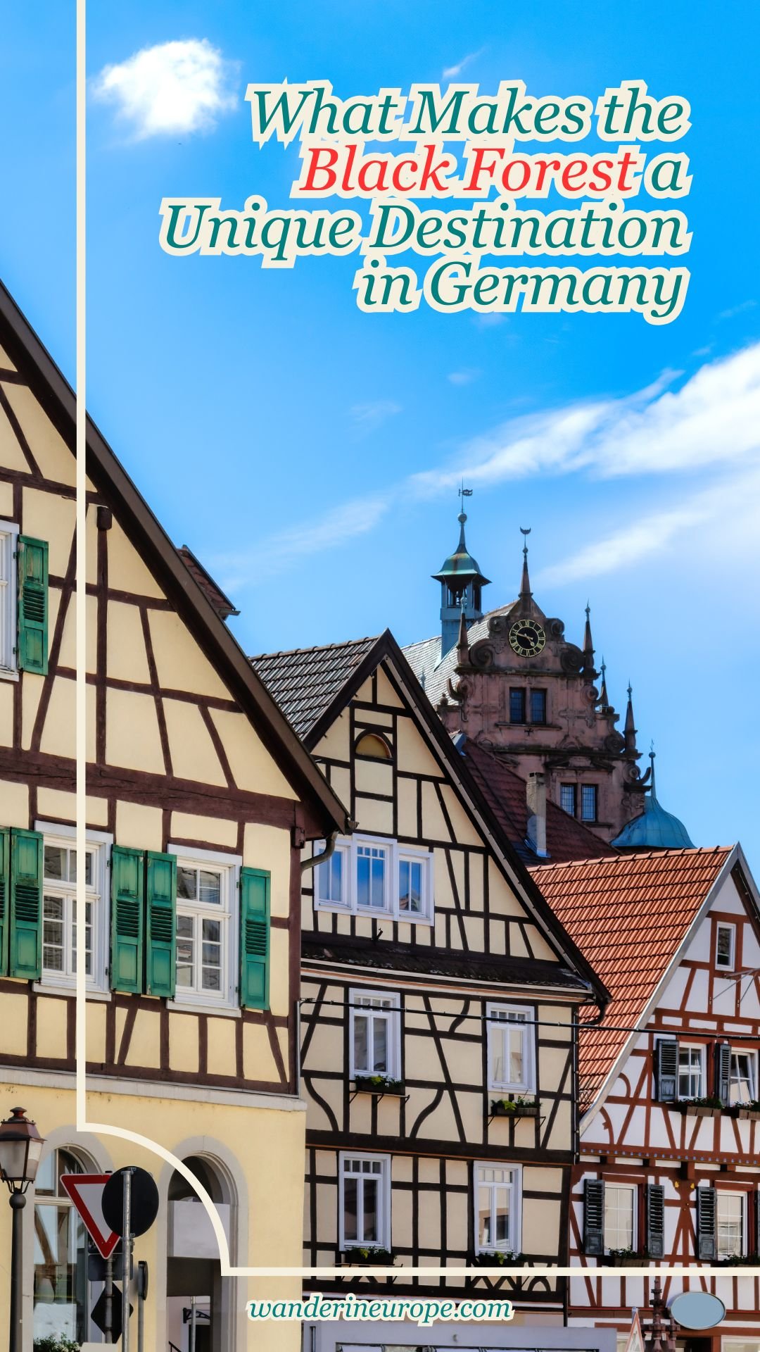 What Makes the Black Forest a Unique Destination in Germany 17 What Makes the Black Forest a Unique Destination in Germany, Pinterest Pin