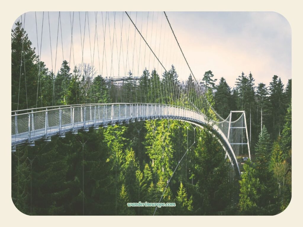 WildLine Hängebrücke, Black Forest, Germany