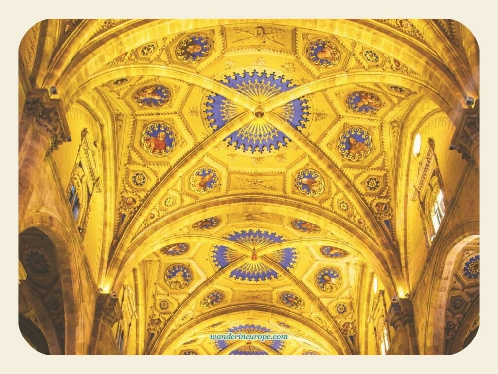 Witness Lake Como’s Stunning Beauty from These 10 Spots 6 A closer look at the vaulted ceiling of Cattedrale di Santa Maria Assunta in Como, Lake Como, Italy