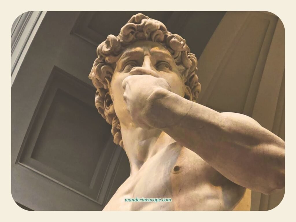 An Explorer’s Guide to the Architecture and Art of Florence 51 Another view of David in Galleria dell’Accademia , Florence, Italy