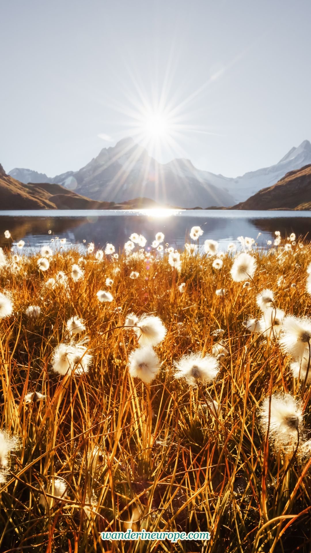 Epic Jungfrau Region 7-Day Itinerary Based in Interlaken 60 Epic Jungfrau Region 7-Day Itinerary Based in Interlaken, Pinterest Pin