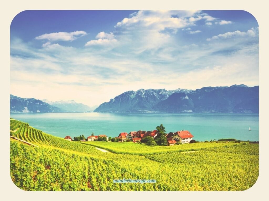 Lavaux Vineyard, Montreux, Switzerland