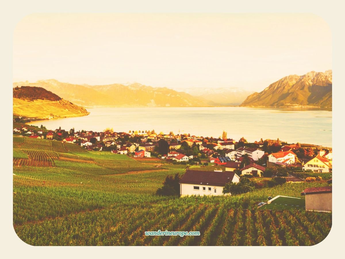 A Quick and Easy Guide for a Well-Rounded Trip to Montreux 4 Lavaux Vineyard, Montreux, Switzerland (2)
