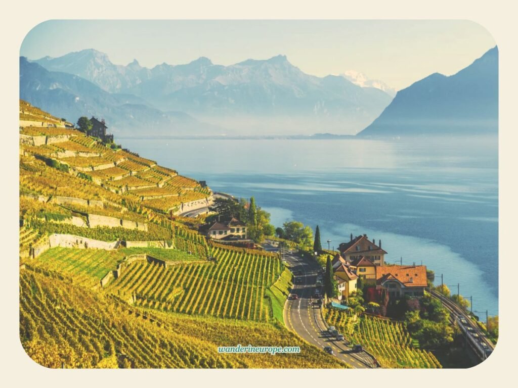 Lavaux Vineyard near Geneva, Switzerland 