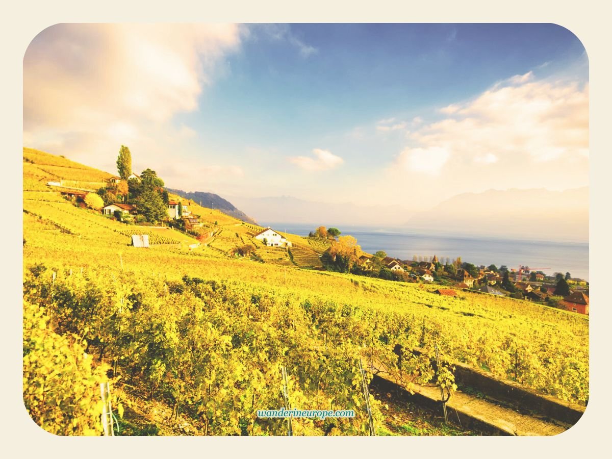 A Quick and Easy Guide for a Well-Rounded Trip to Montreux 6 More of Lavaux Vineyard, Montreux, Switzerland