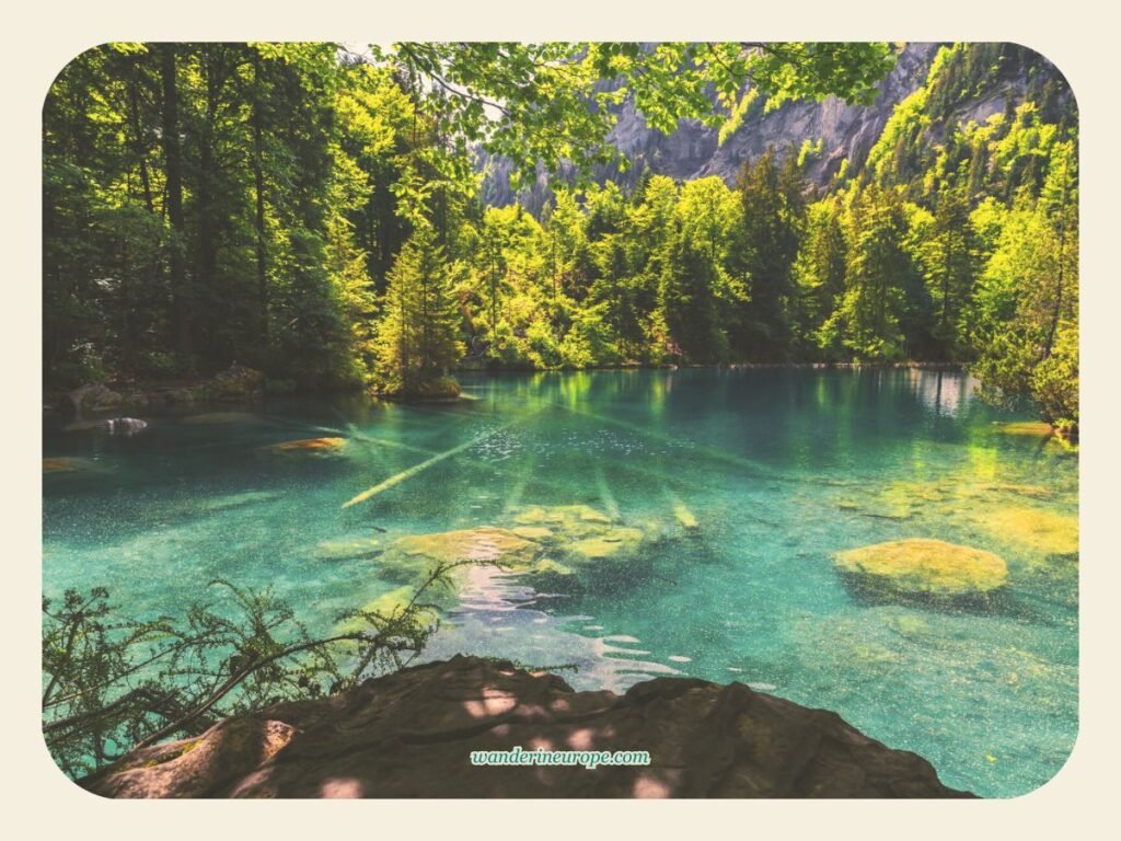 The crystal clear water of Blausee near Kandersteg, Switzerland